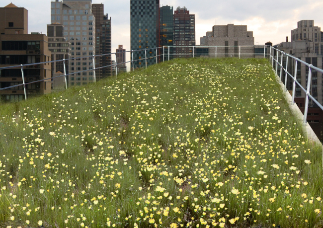 ���� �������� ��� �� ����� � ����������� ���������