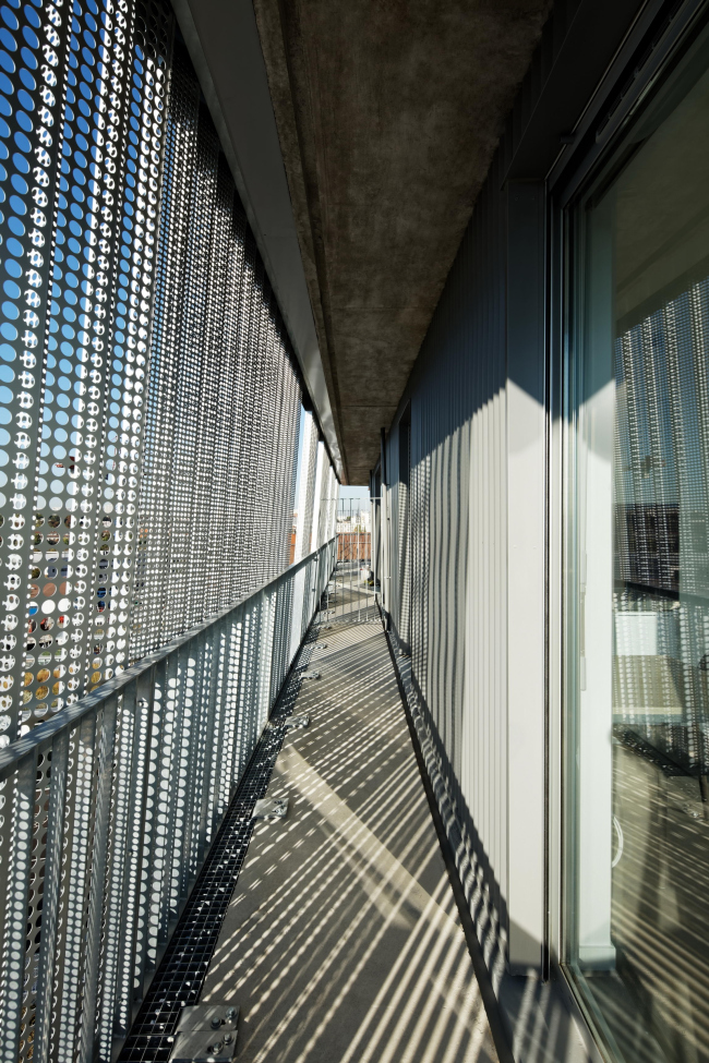 ����� ����� �������� �������� � ������������ ��������� � Takuji Shimmura