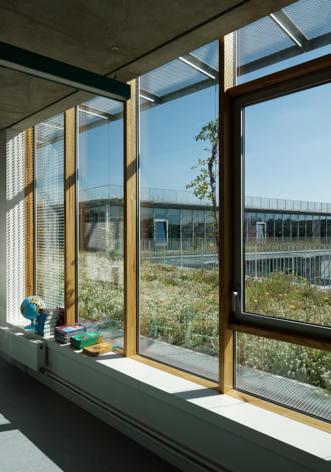 ����� ����� �������� �������� � ������������ ��������� � Takuji Shimmura