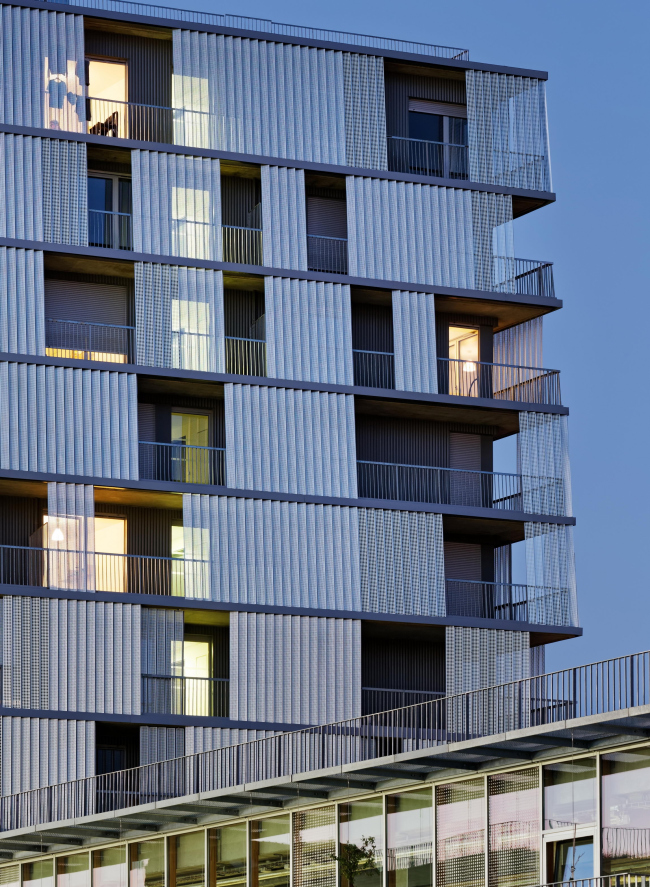 ����� ����� �������� �������� � ������������ ��������� � Takuji Shimmura