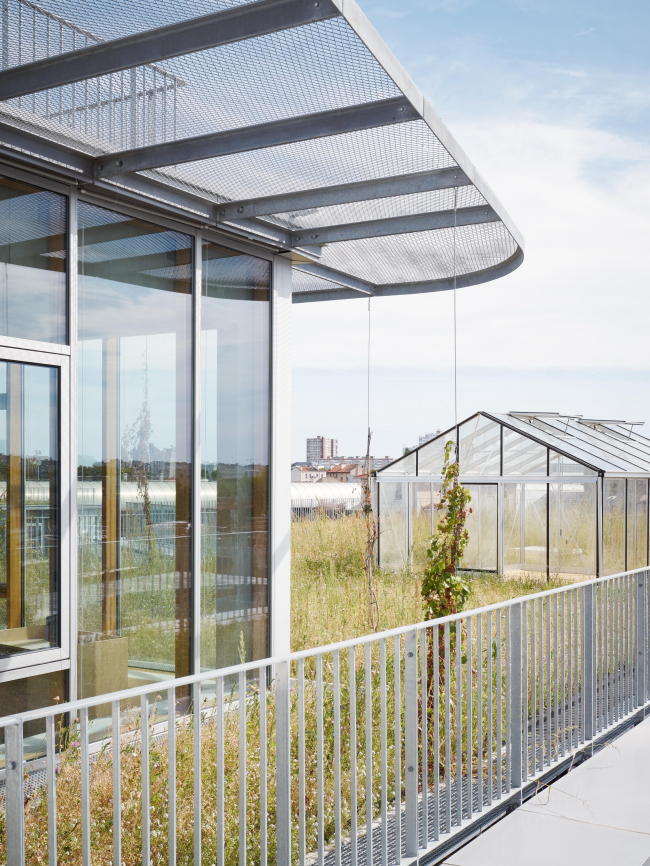 ����� ����� �������� �������� � ������������ ��������� � David Foessel