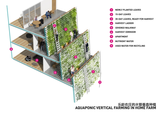 Homefarm � ����� �������� ��� ������� ����� � SPARK