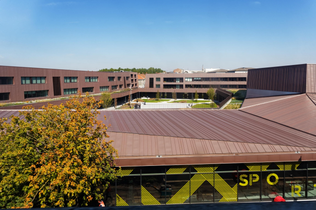 ������, ���������� ��� � ���������� ����� � ����� � Takuji Shimmura