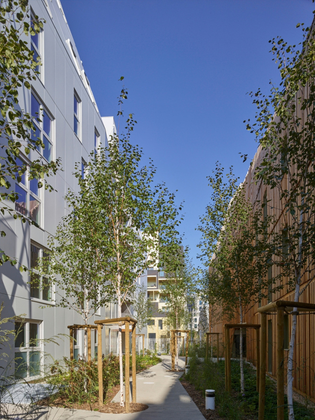 �������� ����������� ����� Rive Seine � Stéphane Chalmeau