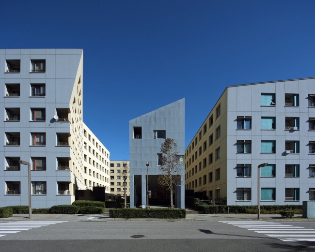 ������� ������ ����� �������� � �������� ������ ����. ����������� � ����� stevenholl.com