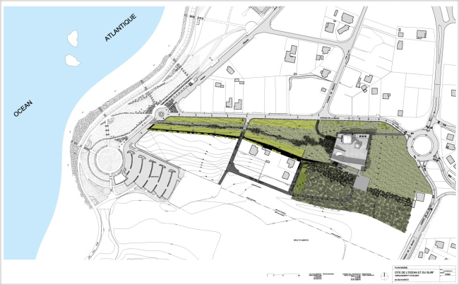 ����� ������ � �������� � ��������. ����������� ������ � Solange Fabião