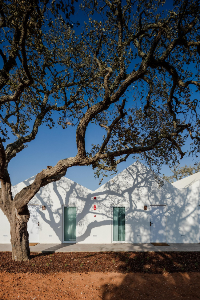 Гостиница Sobreiras – Alentejo Country Hotel © Joao Morgado – Architecture Photography