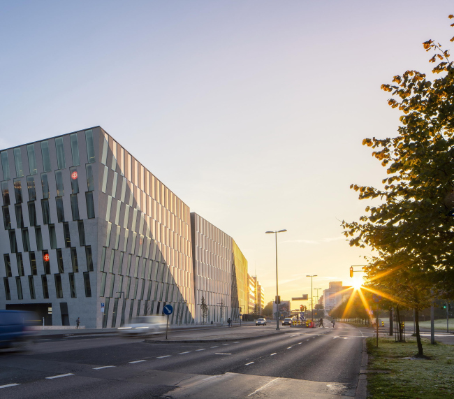 ����-�������� ���������� ������ OP � Mika Huisman