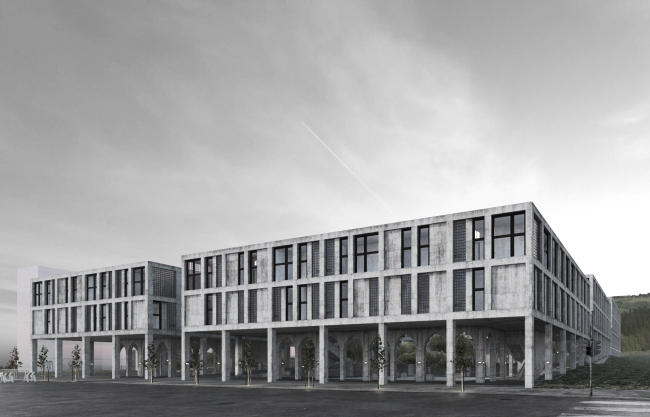 ������ ����� ���������