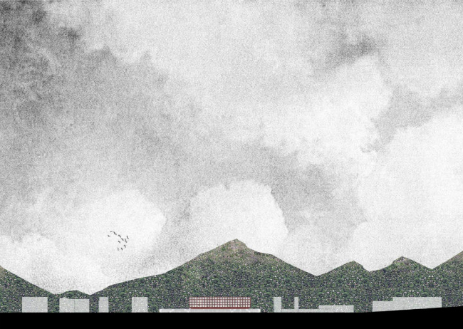 ������ ���� �������