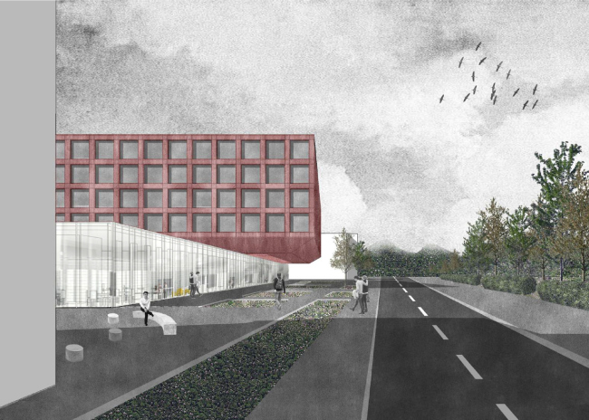 ������ ���� �������