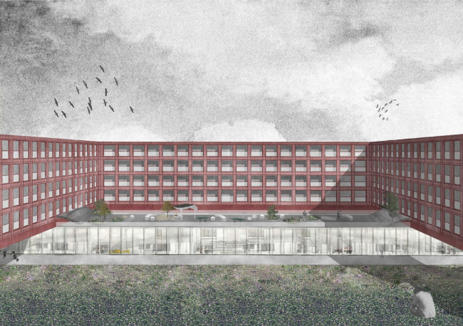 ������ ���� �������