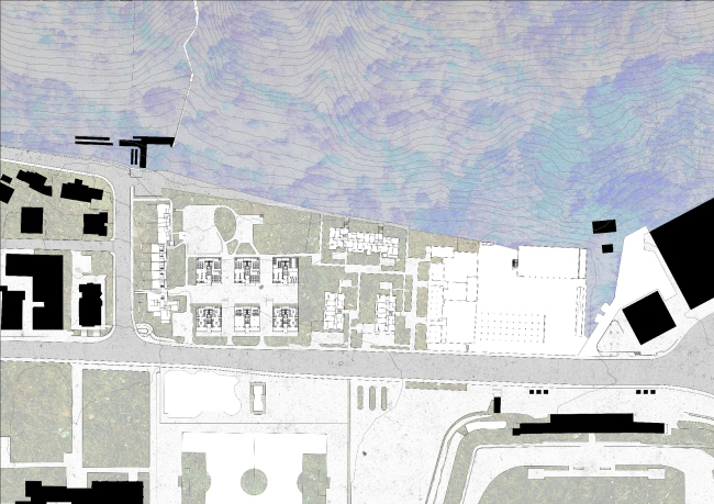 ������ ���� ����������