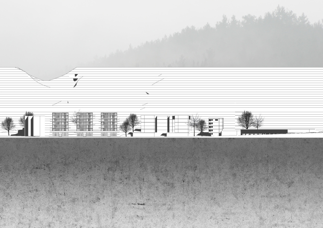 ������ ���� ����������