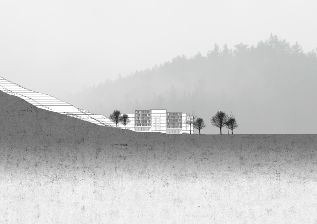 ������ ���� ����������