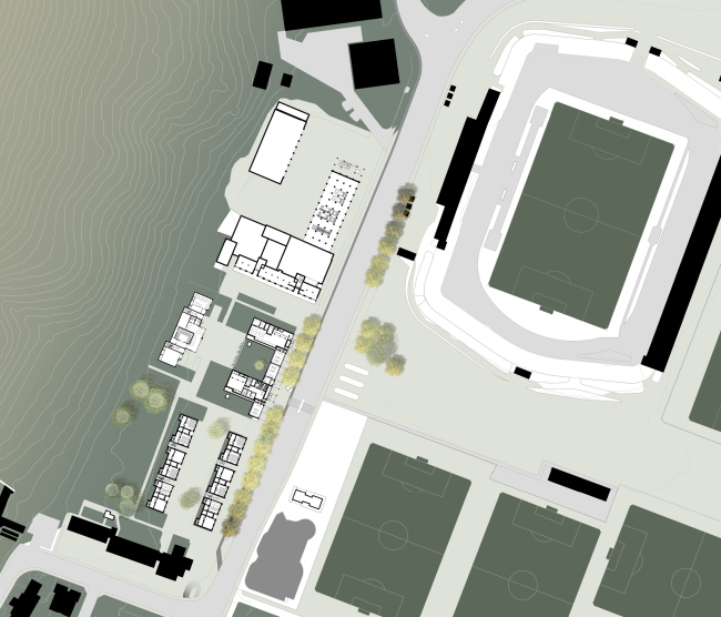 ������ ���� ������� �����-������������. ��������