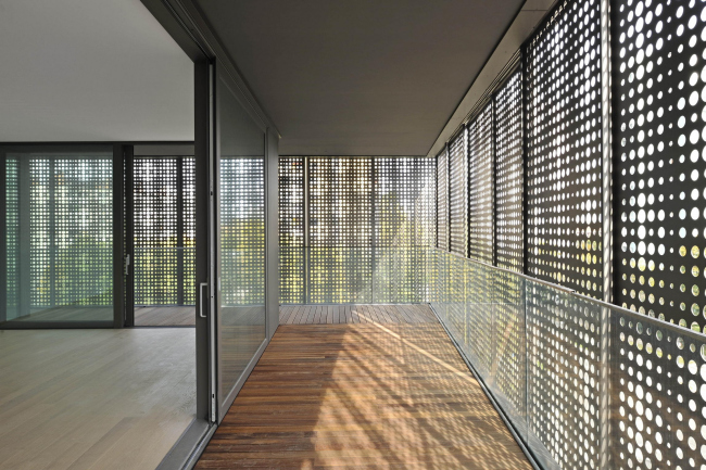 �������� ����� � ������ Situla � Miran Kambič