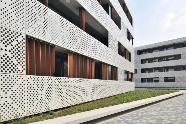 �������� ����������� ����� Sotočje � Miran Kambič