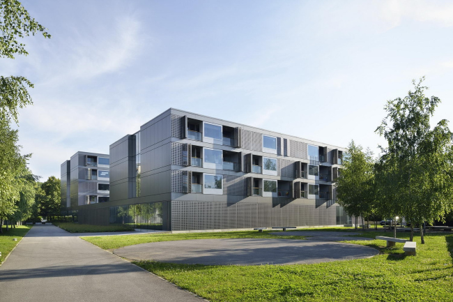 ������������ ��������� � ������ ������ � Miran Kambič