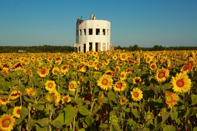 �������� ���������� ���������. ���������� � ����������, 2014