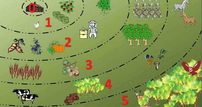 ����������� ������������� ������������ ���������� ����������� ��������