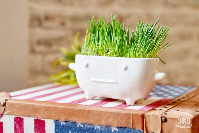 ���� � ���������� �����������. ������������� ������ ������������ ������