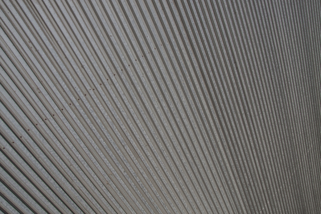 ����� ���� �� ������������� ��������� � ����� ������