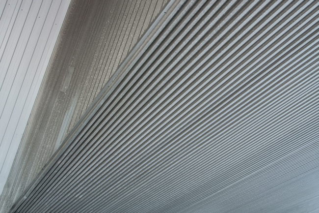 ����� ���� �� ������������� ��������� � ����� ������