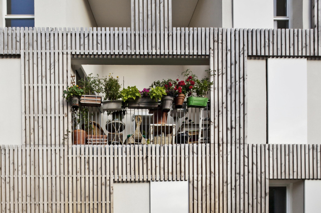 ����� �������� � ������� � Arnaud Schelstraete