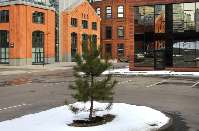 ����: ��������������� ���������� � ������ ������ � ��������. ���������� � ���� ����������