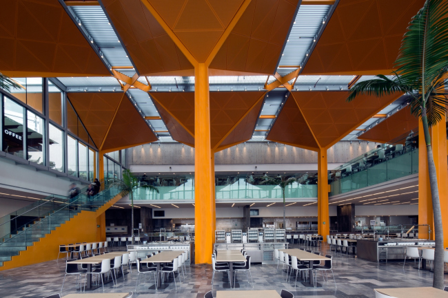 ����-�������� BBVA Bancomer � Lourdes Legorreta / LegoRogers
