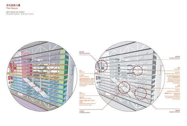   Nexus  PLP Architecture