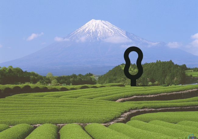 ��������� ����� ����������� �������� Arteza � Wowhouse