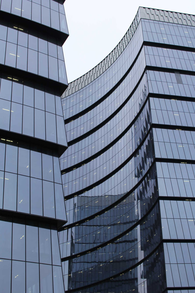 Multifunctional complex "Lotus". Construction 2011-2014. Photograph � Julia Tarabarina