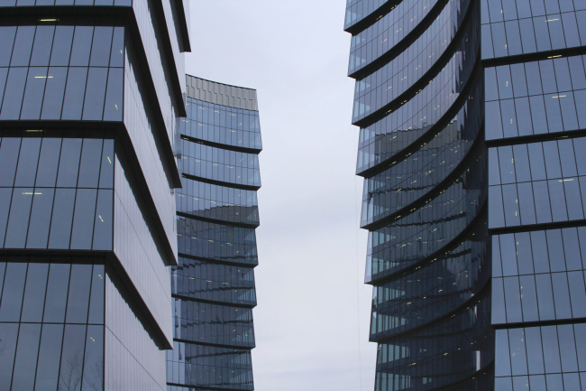 Multifunctional complex "Lotus". Construction 2011-2014. Photograph � Julia Tarabarina