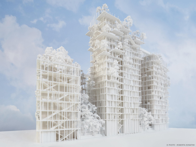 ����� �������� Canopia � ���������� ������ � Roberta Donatini