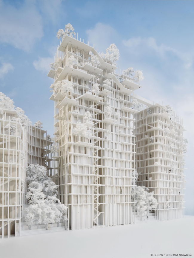 ����� �������� Canopia � ���������� ������ � Roberta Donatini