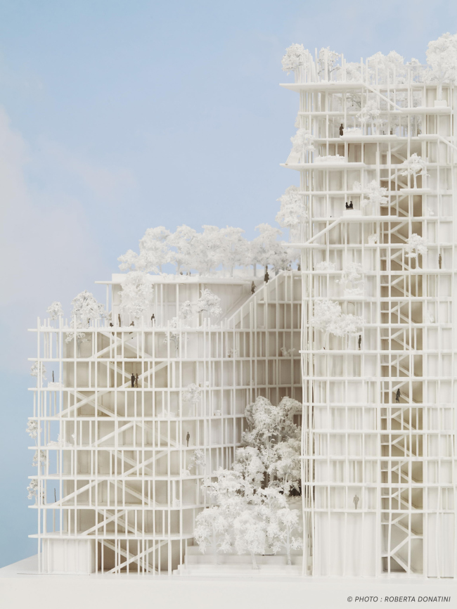 ����� �������� Canopia � ���������� ������ � Roberta Donatini