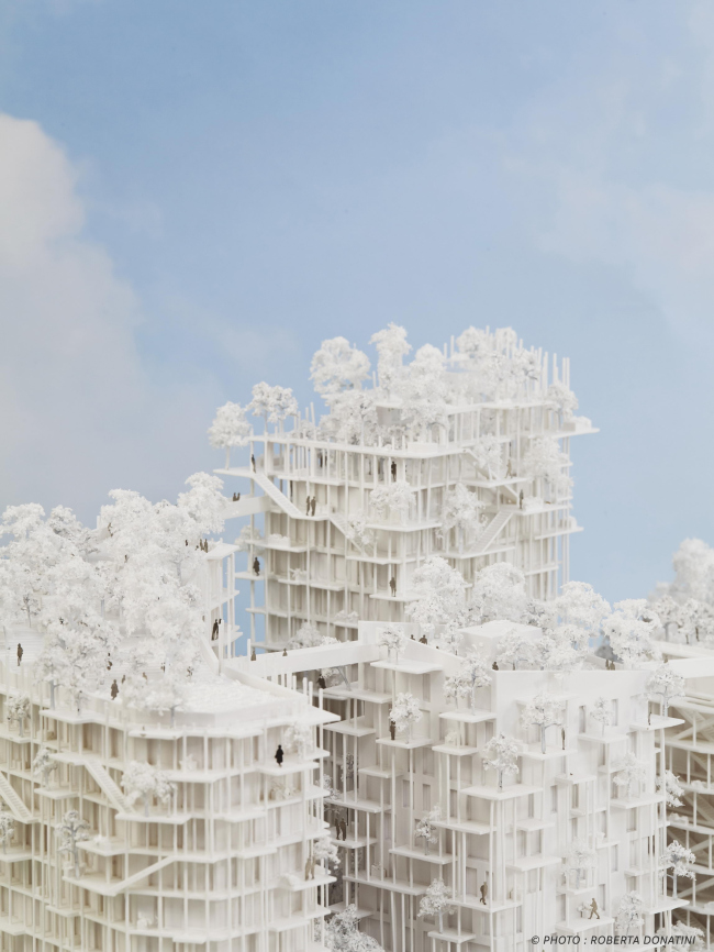 ����� �������� Canopia � ���������� ������ � Roberta Donatini