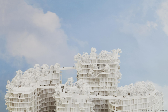 ����� �������� Canopia � ���������� ������ � Roberta Donatini