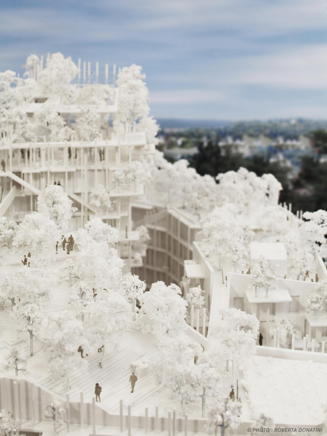 ����� �������� Canopia � ���������� ������ � Roberta Donatini