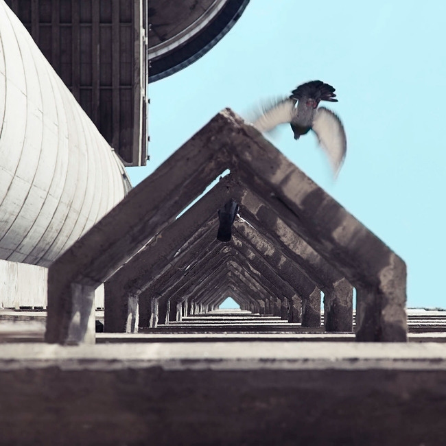 �������� ������ � Mirko Nahmijas