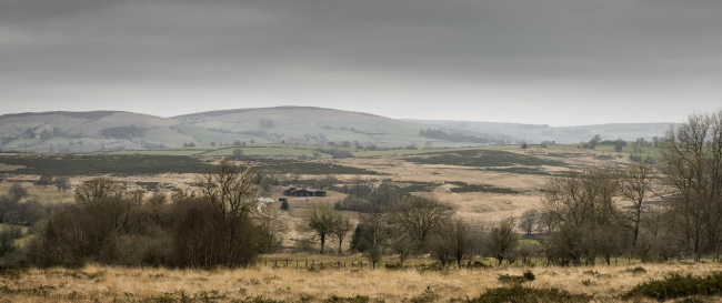  Tŷ Bywyd     Gilbert McCarragher