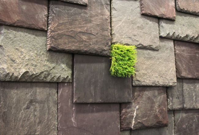 ����� �������� ���������. ���������� � ���� ����������, ����.��