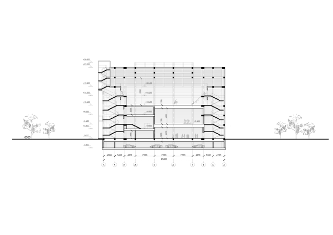 Sports and recreation complex of the judo school. Section view  Studio 44