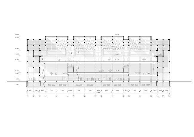 Sports and recreation complex of the judo school. Section view  Studio 44