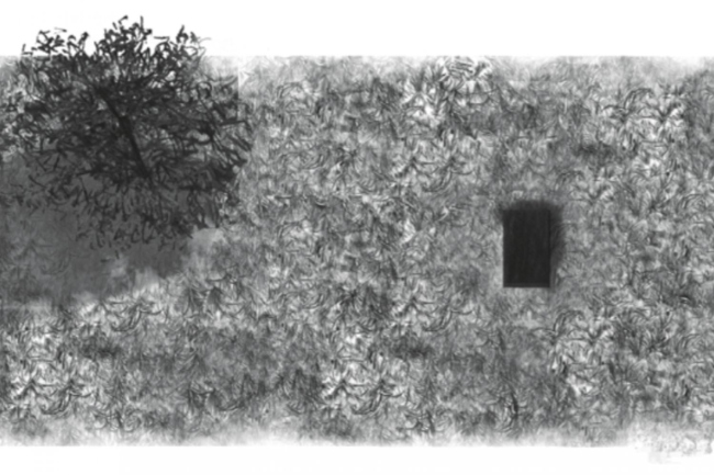 ������ ����������� ������������. ����������� ������������� �������� ��������� �����������