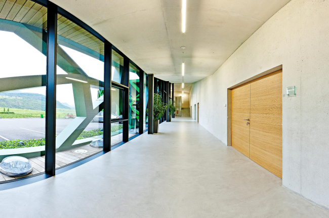 ���������� Tramin. ���������� ������ ����� � Florian Andergassen