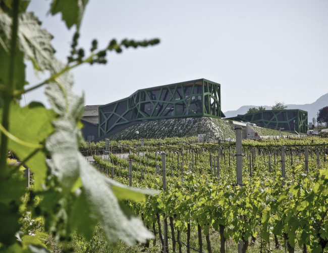 ���������� Tramin. ���������� ������ ����� � Rickard Kust