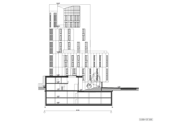 ����� ��� � ��������� ������������ �� ��. ��������. ������ � ������ �������� ARCHITECTS